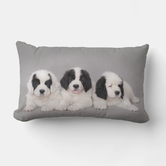 Tre landseer-valpar lumbarkudde (Framsida)