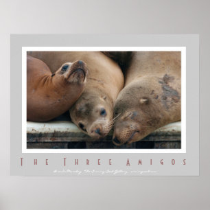 Tre Lejon i Kalifornien - tre amigos Poster