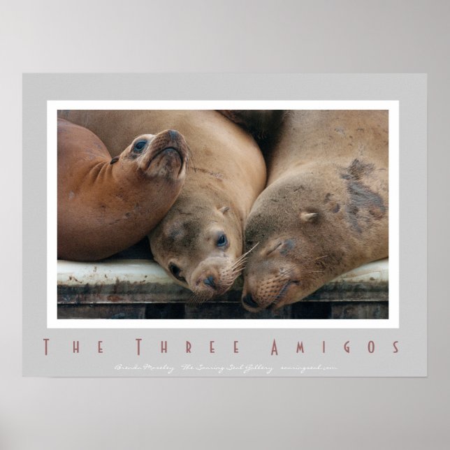 Tre Lejon i Kalifornien - tre amigos Poster (Framsidan)