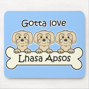 Tre Lhasa Apsos Musmatta
