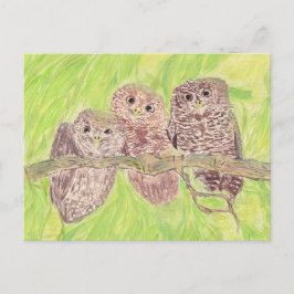 Tre lille Scowling Uggla - akrylmålning. Vykort