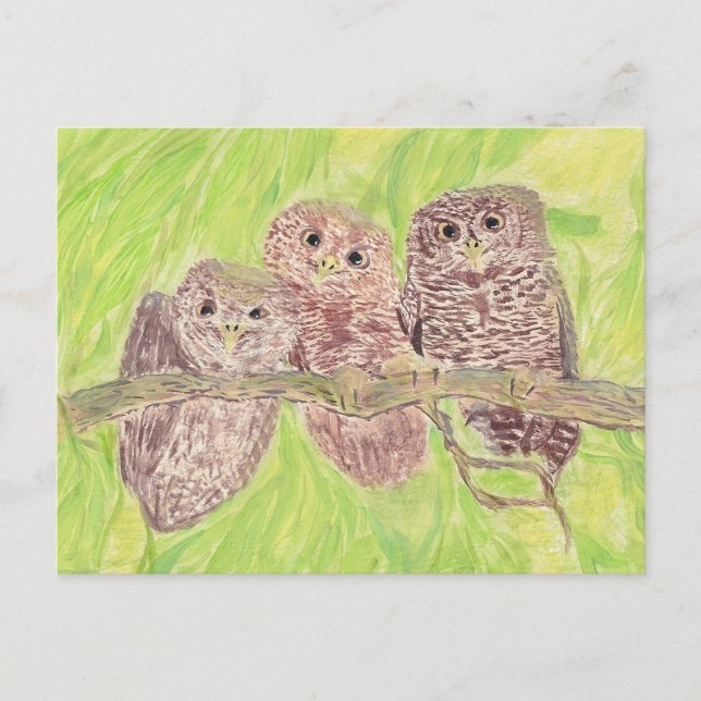 Tre lille Scowling Uggla - akrylmålning. Vykort (Framsida)