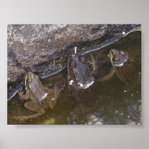 Tre lite Froggies Poster