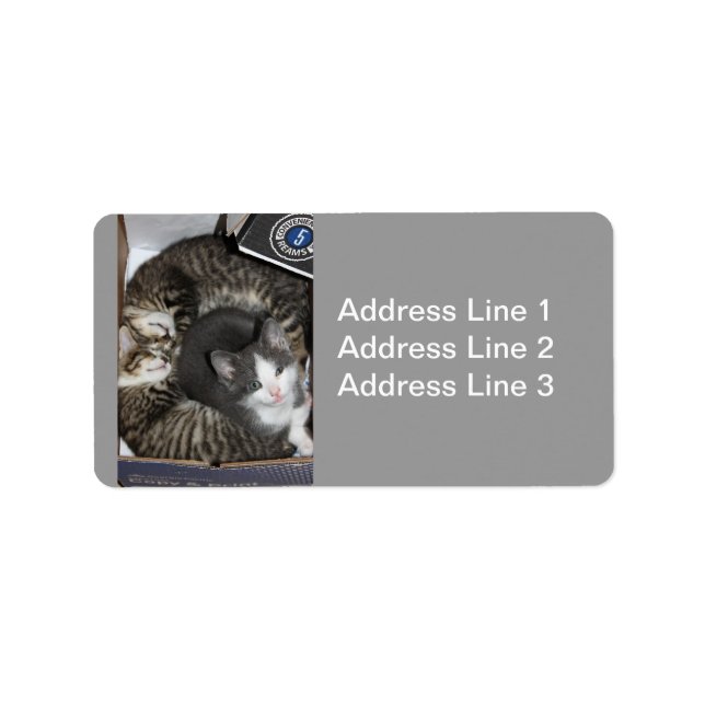 Tre Little Kittens-etikett Adressetikett (Framsidan)