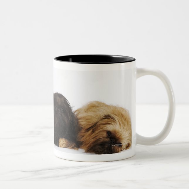 Tre ljuga för Pekingese hund- och singelmops Två-Tonad Mugg (Höger)