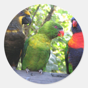 Tre Lorikeits Runt Klistermärke