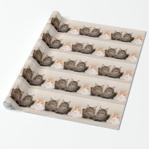 Tre Maine Coonkatter Presentpapper