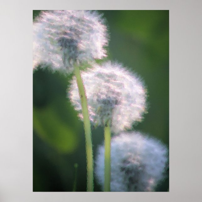 Tre målning för Dandelion-blommor Poster (Framsidan)