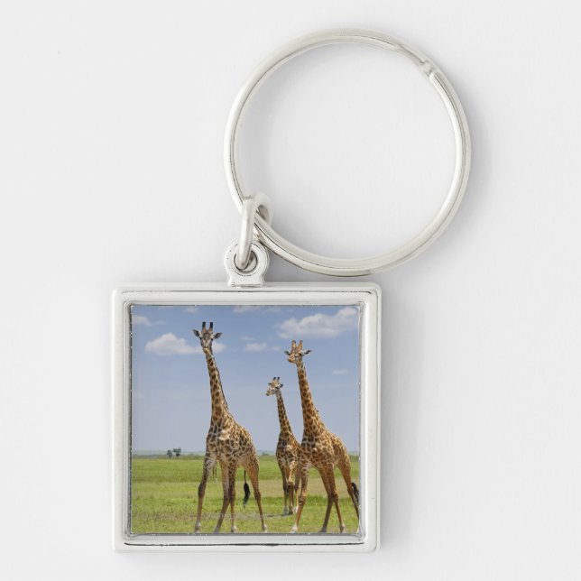 tre Masaigiraff, Giraffacamelopardalis Fyrkantig Silverfärgad Nyckelring (Framsidan)