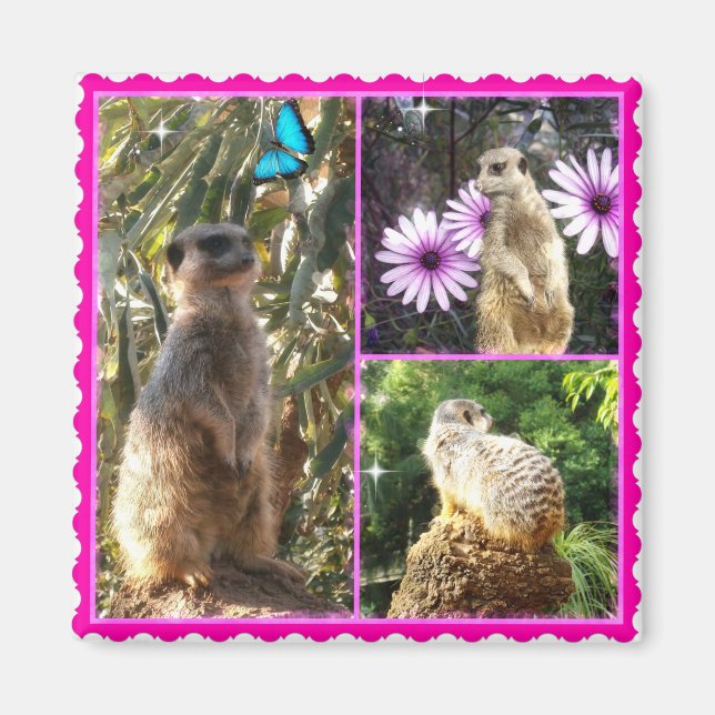 Tre Meerkat Photo Collage, Fridge Magnet (Framsidan)