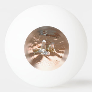 Tre Meerkats-Roligten i Sol, Ping Pong Boll
