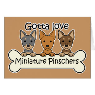 Tre miniatyrPinschers OBS Kort
