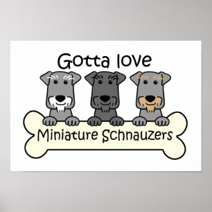 Tre miniatyrSchnauzers Poster