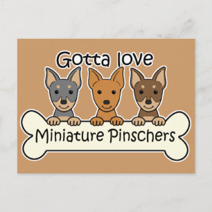 Tre ministrar Pinschers Vykort
