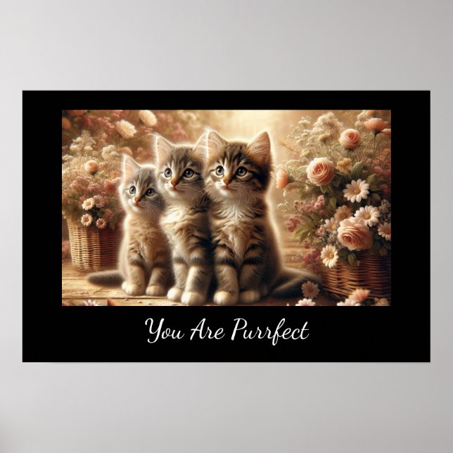 Tre missvisande tabby-kittens med blommor poster (Framsidan)