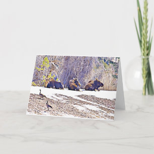 Tre moose, notecard anteckningskort