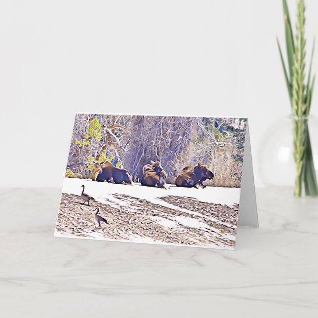 Tre moose, notecard anteckningskort (Framsida)