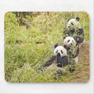Tre mumsa Pandaungar Mousepad Musmatta