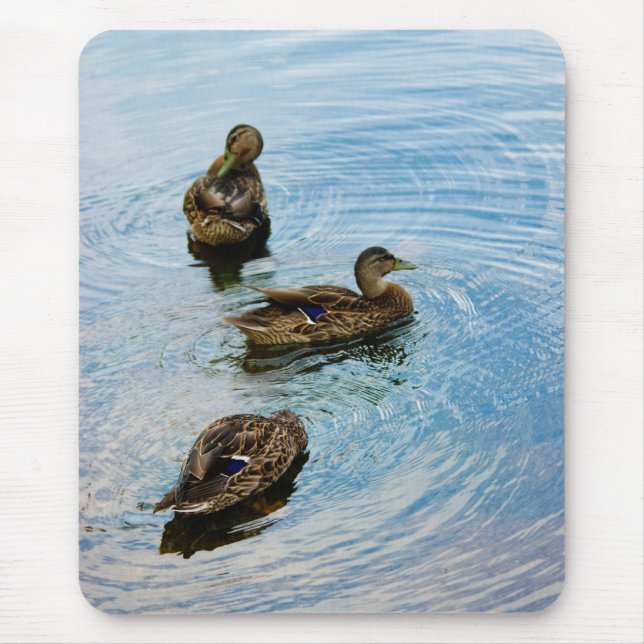 Tre Musmatta (Framsidan)