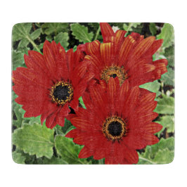 Tre när de blåser i rött