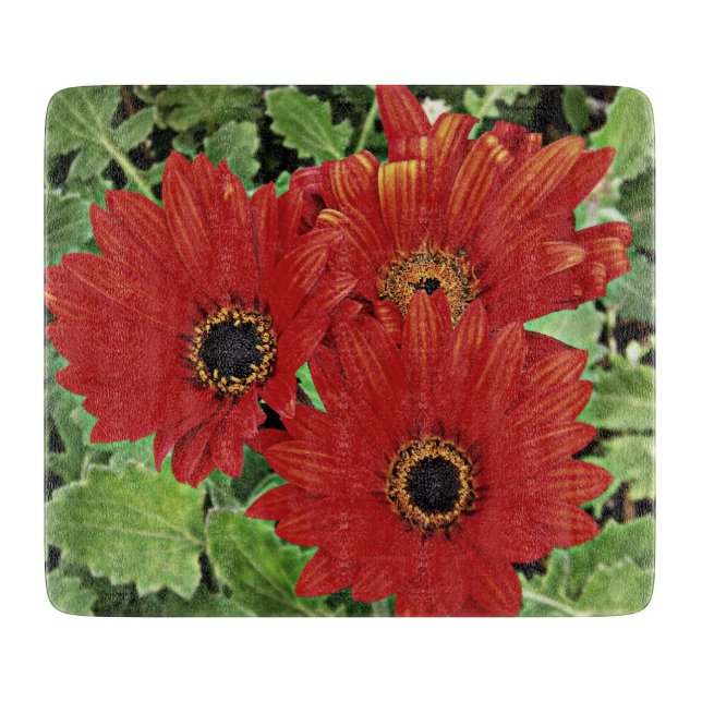 Tre när de blåser i rött (Framsidan)