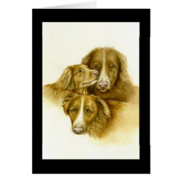 Tre Nova Scotia Anka Tolle Retrievers-kort OBS Kort