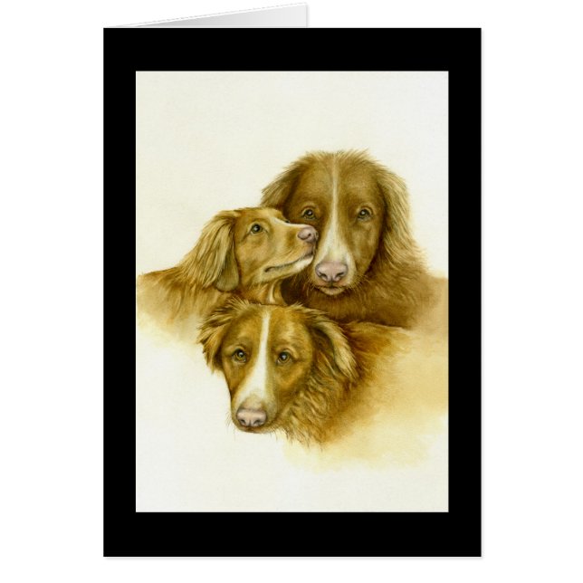 Tre Nova Scotia Anka Tolle Retrievers-kort OBS Kort (Framsidan)