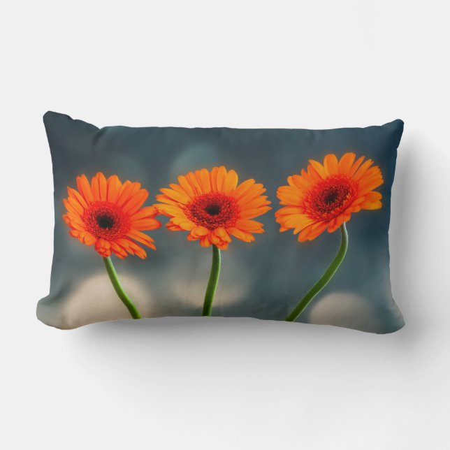 Tre Orangar Gerberas i en radmaterskudde Lumbarkudde (Framsida)