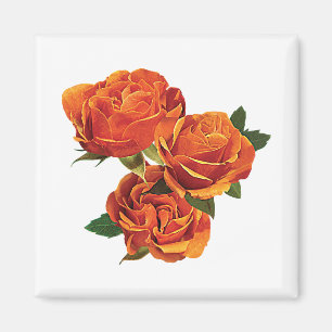 Tre orange ro magnet