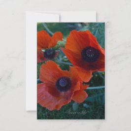 Tre orientaliska poppies i Orangen Anteckningskort