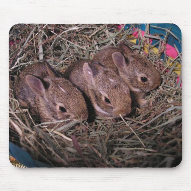 Tre på en rad musmatta (Framsidan)