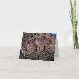 Tre på raden - tackkort