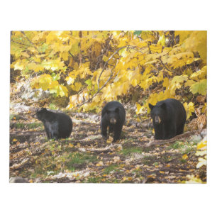 Tre päron anteckningsblock