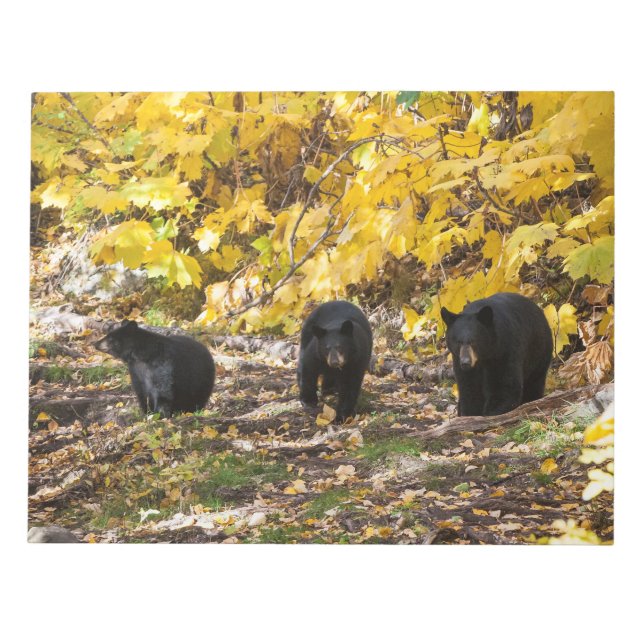 Tre päron anteckningsblock (Framsida)