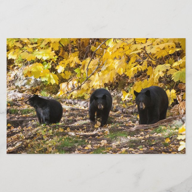 Tre päron brevpapper (Framsida)