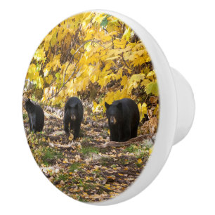 Tre päron knopp