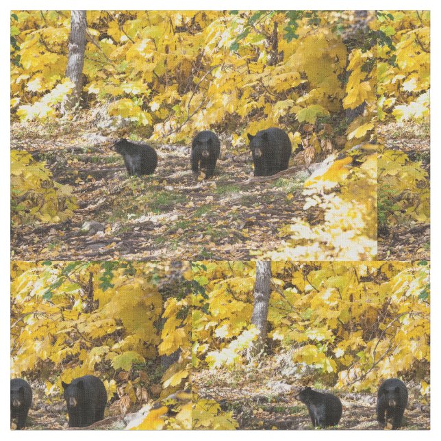 Tre päron tyg (Närbild)