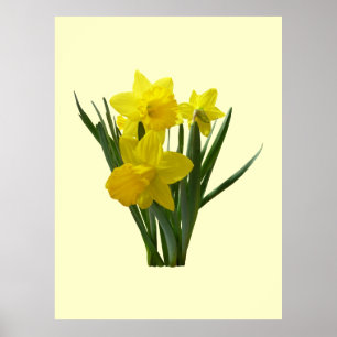 Tre påskliljar som står vakt poster