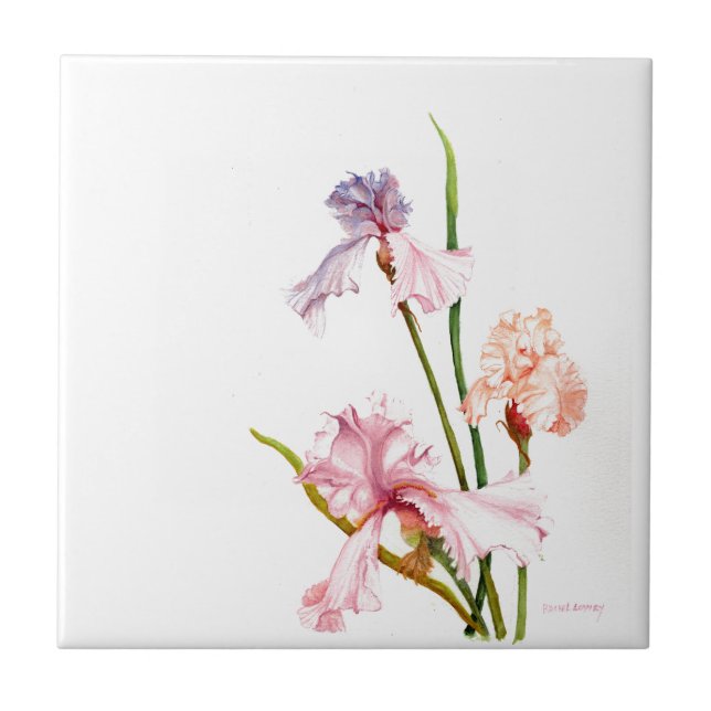 Tre pastel Irises CERAMIC TILE Kakelplatta (Framsidan)