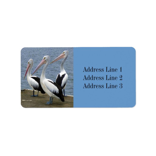 Tre pelicans Photo Address-etikett Adressetikett (Framsidan)