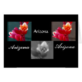 Tre Penstemon-blommor, Arizona OBS Kort