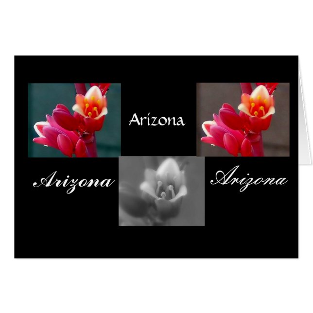 Tre Penstemon-blommor, Arizona OBS Kort (Framsidan Horizontal)