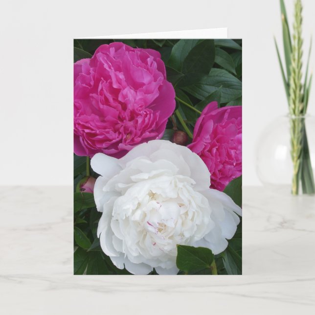 Tre peonies notecard kort (Framsida)