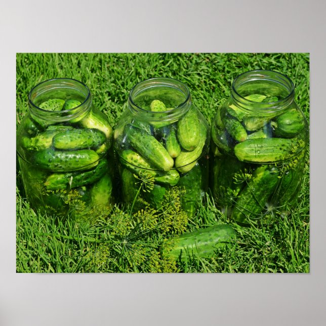 Tre Pickling-Burk fyllda med hela gurkor Poster (Framsidan)