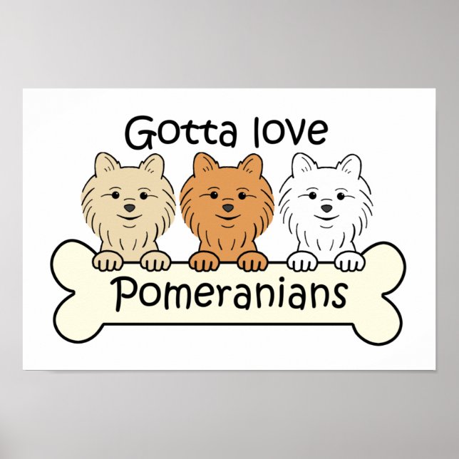 Tre Pomeranianer Poster (Framsidan)