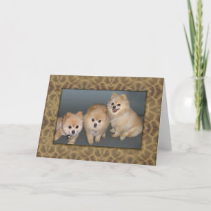 Tre Pomeranians noterar eller hälsningkortet Kort
