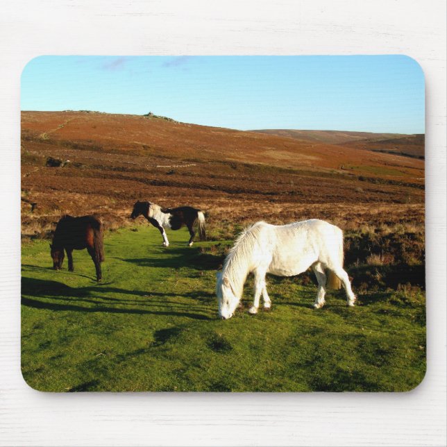 Tre ponnyer på Dartmoor Musmatta (Framsidan)