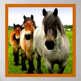 Tre ponnyer poster