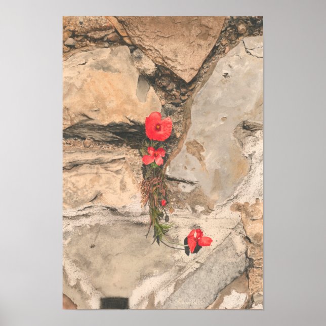 Tre poppies poster (Framsidan)