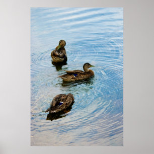 Tre Poster